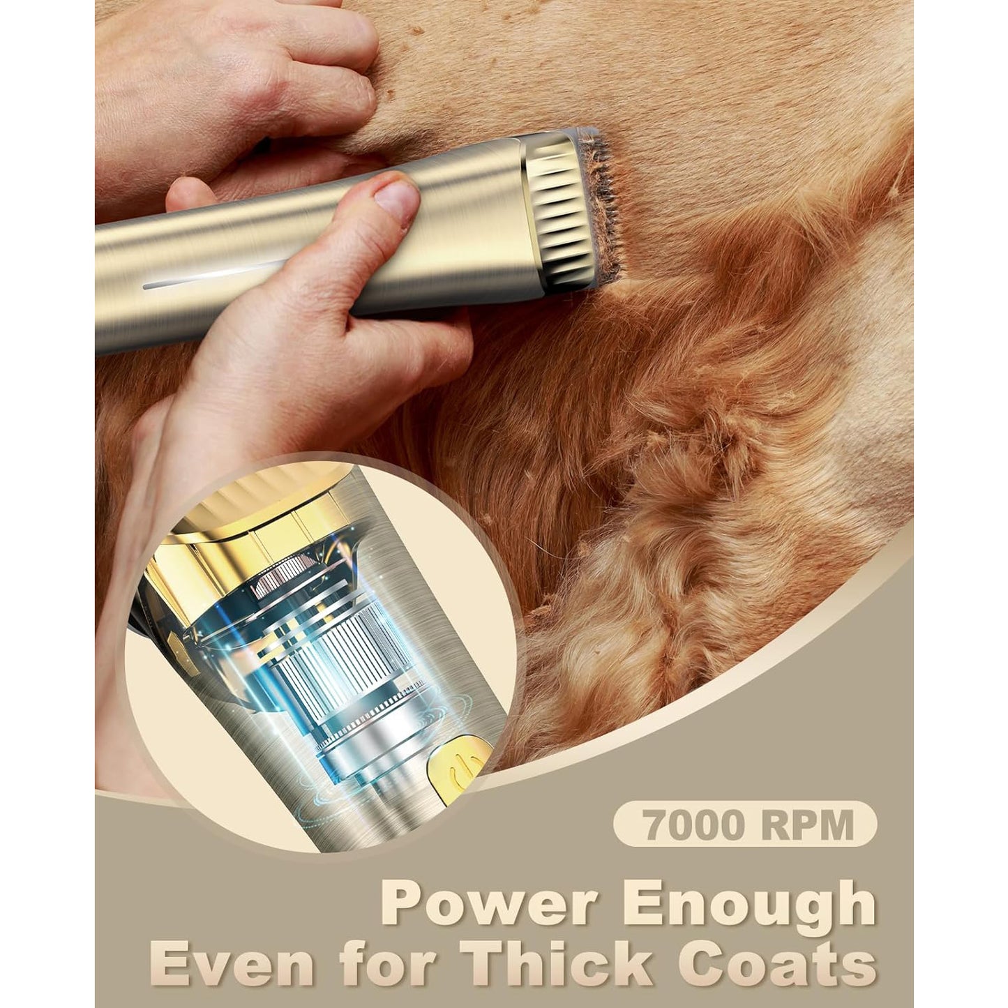 Oneisall RK-034 Dog Clippers for Grooming, 2 Speed Low Noise Dog Grooming Kit with Detachable Metal Blade & 5 Guide Guards, Cordless Dog Grooming Clippers for Dogs Cats Thick Matted Coats - Gold