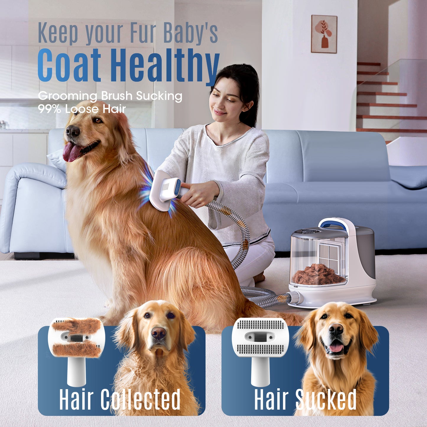 Oneisall LM3 Dog Grooming Vacuum/13Kpa Low Noise Pet Grooming Vacuum /3L Large Dust Bin Dog Vacuum for Shedding Grooming/Dog Grooming Kit Including 6 Tools for Dhedding Thick Coats and Home Cleaning